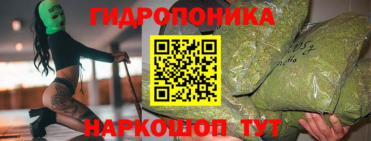Марихуана план  МАРИХУАНА план  Вход с VPN  Бердск  Конопля конопля 